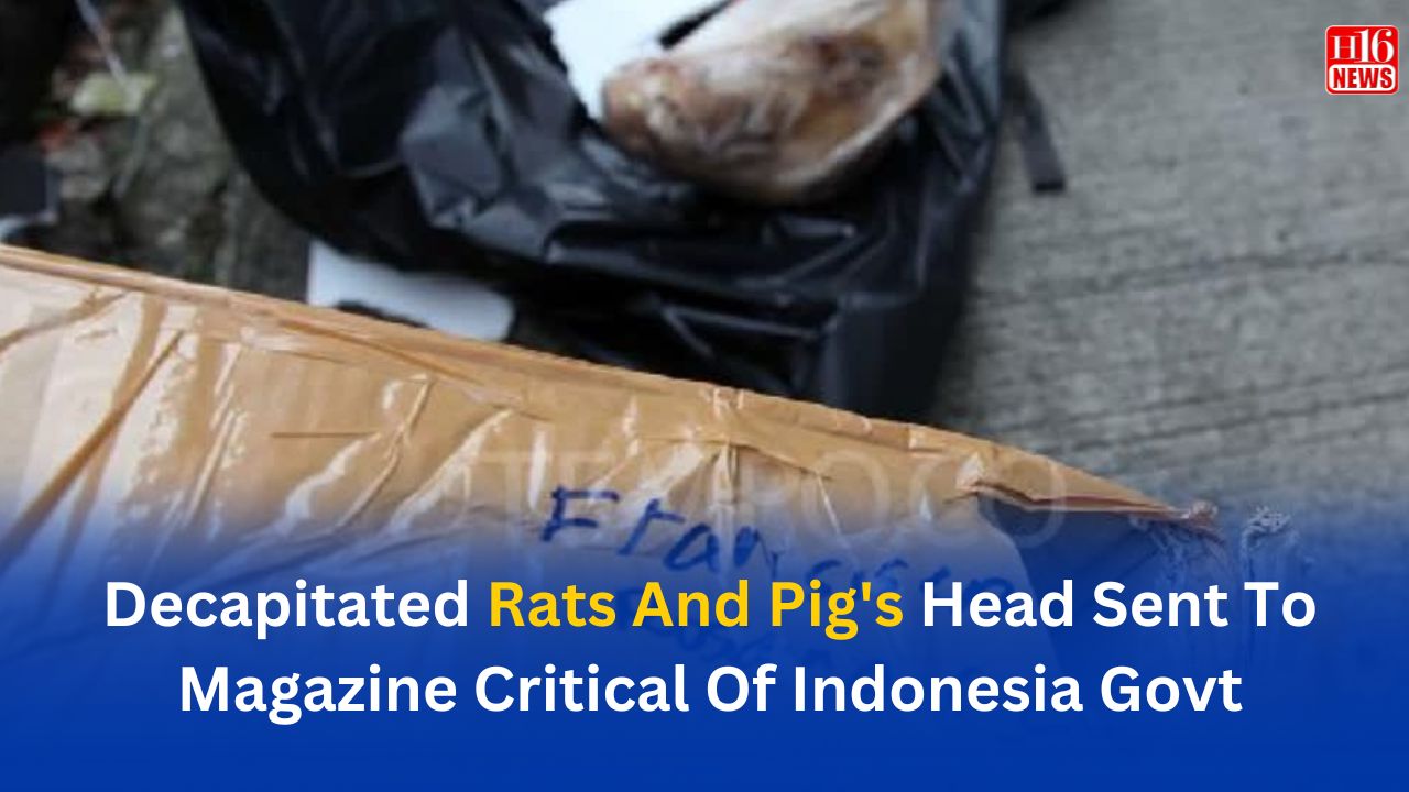 Decapitated Rats And Pig's Head Sent To Magazine Critical Of Indonesia Govt